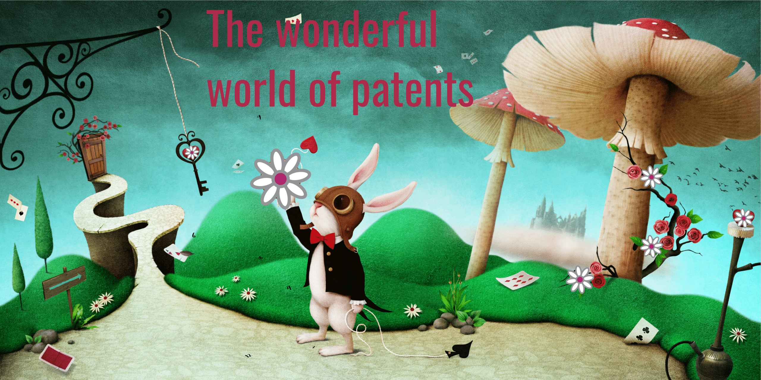 The wonderful world of patents